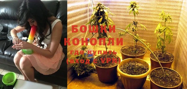 Альфа ПВП Богородицк